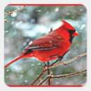 Search for snowstorm stickers Animal