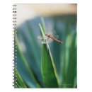 Search for insect notebooks Outdoors