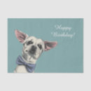 Search for dapper gift wrap Cute