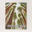 Search for redwood National
