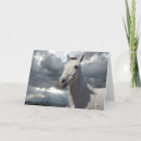 Search for loss of a horse cards Horses