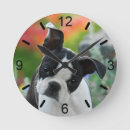 Search for boston terrier clocks Puppy