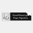 Search for paint bumper stickers White