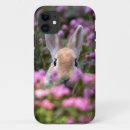Search for danita delimont iphone cases Gallo images