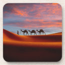 Search for camels coasters Landscape