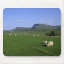 Search for the isle mouse mats Travel