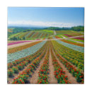 Search for farm tiles Blossom