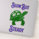 Search for slow Tortoise