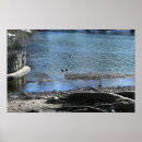 Search for tree roots posters Nature