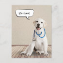 Search for labrador retriever dog postcards Veterinarian