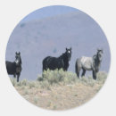 Search for wild mustang stickers Mountains