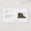 Search for beavers business cards Animal