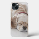 Search for down ipad cases Photography