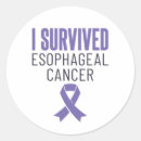 Search for survived stickers Awareness