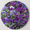 Search for pansy badges Nature