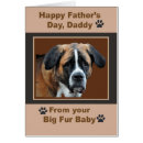 Search for st bernards For him