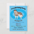 Search for husky invitations Pets