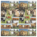 Search for cow fabric Cattle
