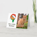 Search for ugly sweater christmas cards Cat