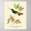 Search for magnificent posters Vintage