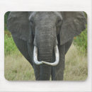 Search for gaming nation electronics Elephant