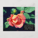 Search for budding postcards Garden