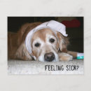 Search for bandage postcards Get well soon
