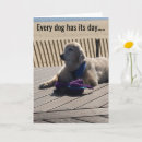 Search for every cards Dog