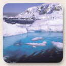 Search for antarctic barware Glacial
