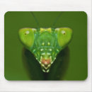 Search for mantis mouse mats Colour