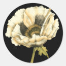 Search for poppy flower stickers Black