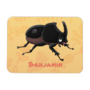 Search for beetle magnets Insect