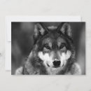 Search for black wolf invitations Wolves