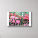 Search for azalea canvas prints Pink