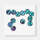 Search for microbe magnets Biology