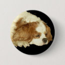 Search for charles spaniel badges Dogs