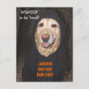 Search for hoodie postcards Cute