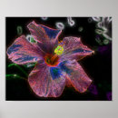 Search for hibiscus art Pink