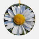 Search for daisy christmas tree decorations Plants