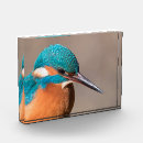 Search for kingfisher gifts Animals
