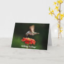 Search for hummingbird birthday cards Bird lover