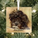 Search for mixed breed dog christmas tree decorations Dogs