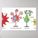 Search for cartoon brain posters Meet