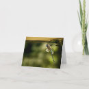 Search for visitor photography Nature
