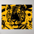 Search for big eyes posters Tiger