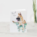 Search for belgian malinois dog postcards Animal