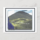 Search for windswept Coast