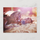 Search for love horses postcards Mare