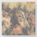 Search for ranching sandstone coasters Western