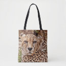 Search for cheetah cat bags Wild